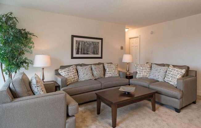A living room with a grey couch, a coffee table, and a lamp.