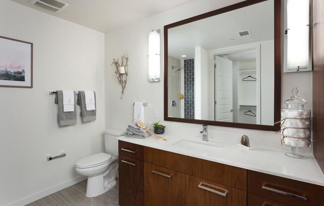 Spa-Inspired Bathrooms at 1000 Speer by Windsor, Denver, CO