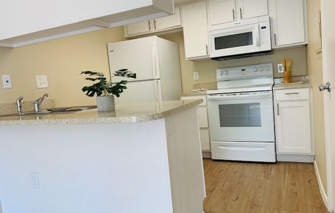 Desert Springs Apartments