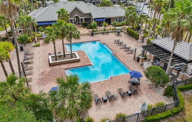 A pool surrounded by palm trees and lounge chairs.