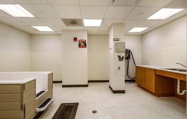 A clean, well-lit bathroom with a sink and a toilet.