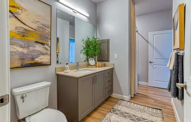 South Scottsdale Apartments - Lucent Scottsdale - Bathroom with Modern Cabinetry