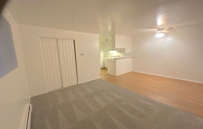 1 bed, 1 bath, 620 sqft, $1,299, Unit 201
