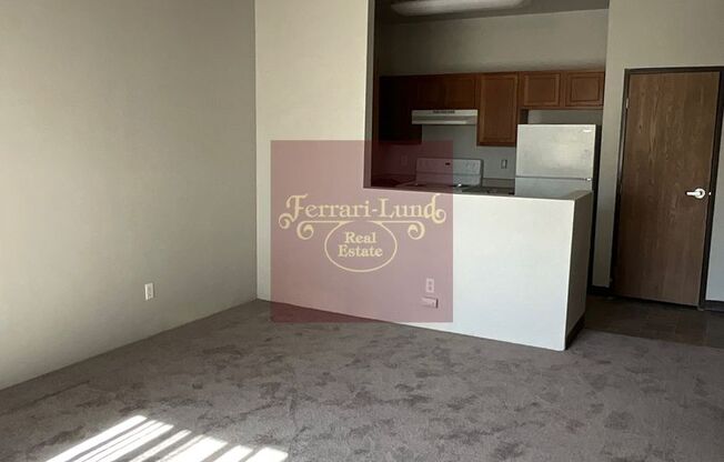 1 bed, 1 bath, 650 sqft, $1,050, Unit 1303