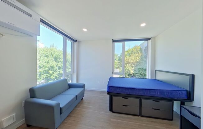 Studio, 1 bath, 314 sqft, $1,225, Unit 405