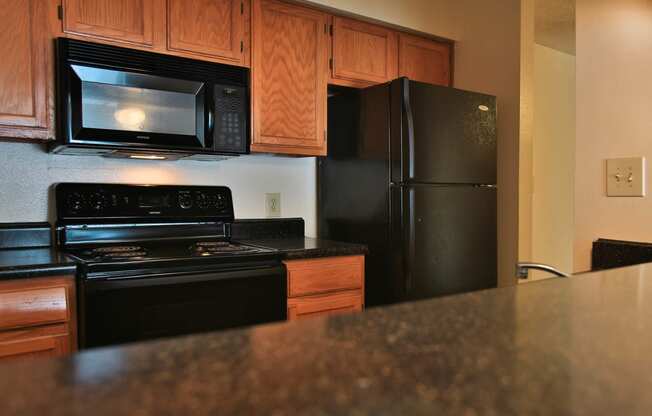 Granite Countertop Kitchen at Turtle Creek Vista, San Antonio, 78229