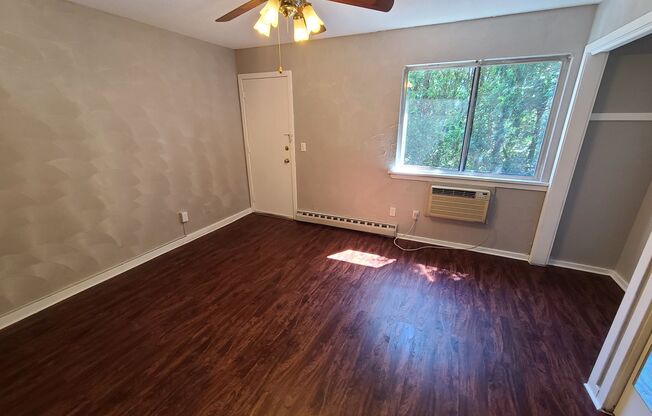 1 bed, 1 bath, $1,250