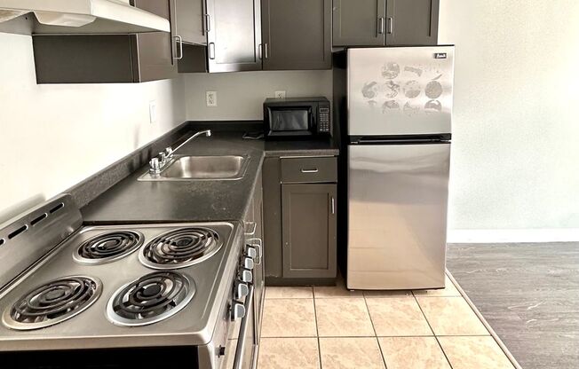 Studio, 1 bath, 255 sqft, $1,450, Unit 315