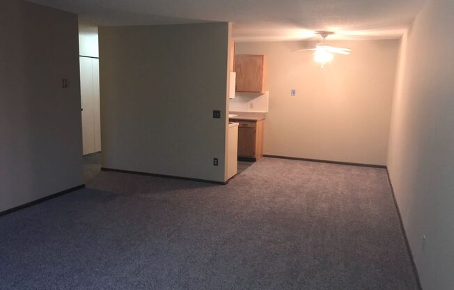 1 bed, 1 bath, 600 sqft, $1,099, Unit 111