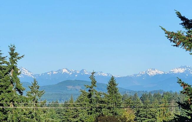 Beautiful East Bremerton Home with a View