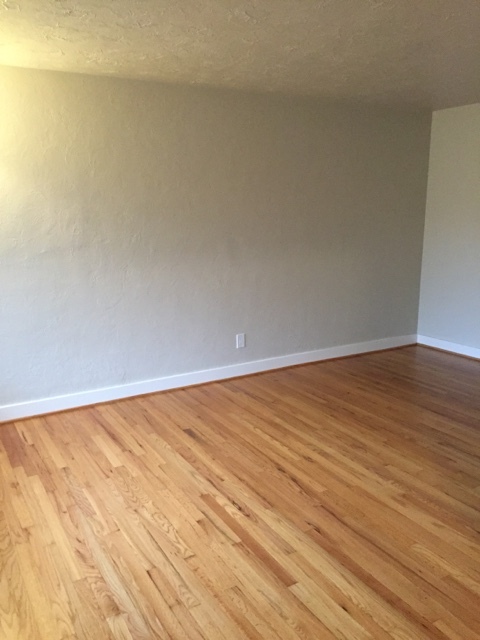 1 bed, 1 bath, 700 sqft, $1,595