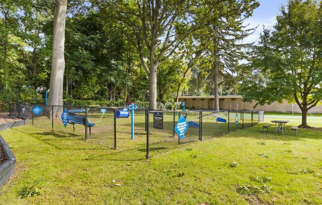 Dog Park