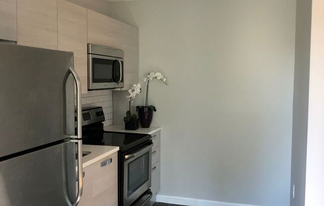 Studio, 1 bath, 430 sqft, $1,000, Unit Unit #11