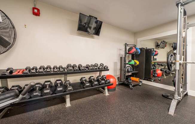 A gym with a row of dumbbells on a rack.