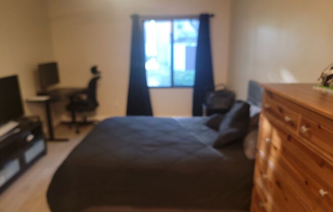 1 bed, 1 bath, $2,400, Unit # 349