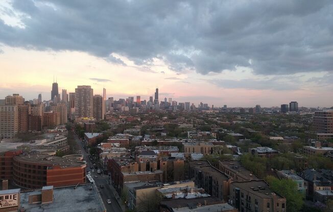 Studio, 1 bath, $1,595, Unit 1704