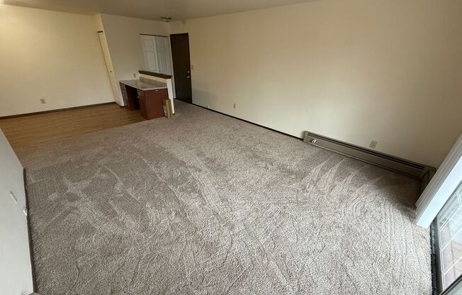 Williamsburg Flats 214