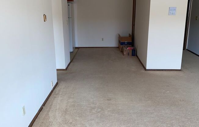 1 bed, 1 bath, 700 sqft, $899, Unit Custer-106