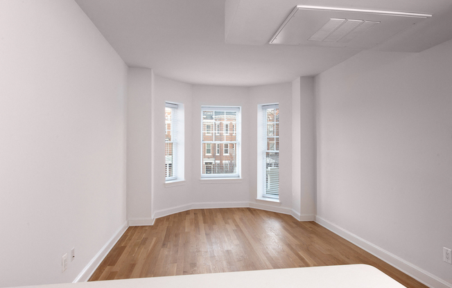 Gallery Photo 10