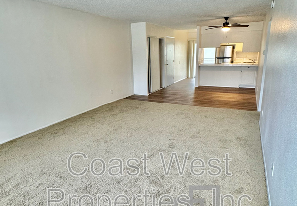 342 Juniper Ave.