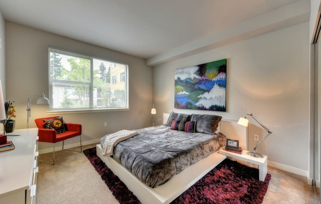 Bedroom with Large Window, Carpet through out but has a burgundy accent rug and abstract painting on wall and Low Elevated Mattress