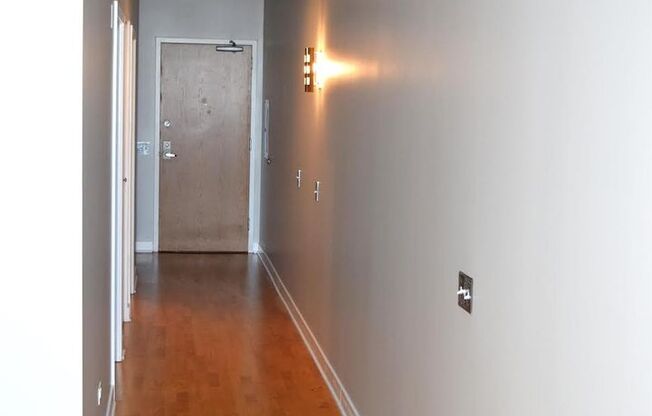South Loop Chicago 1 Bed 1 Bath Apartment