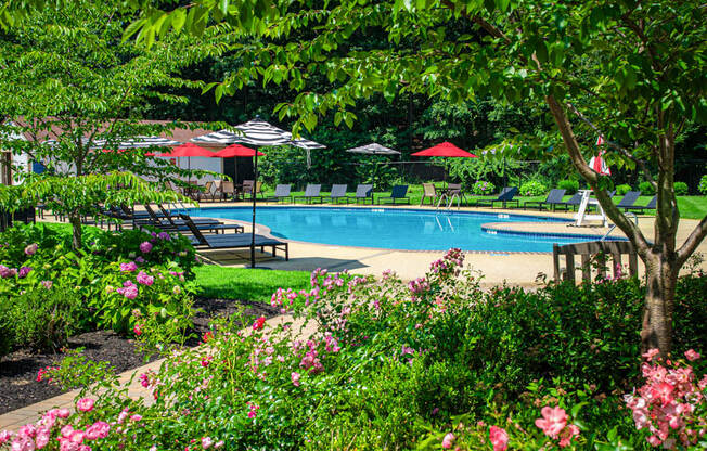 a swimming pool with umbrellas in a garden