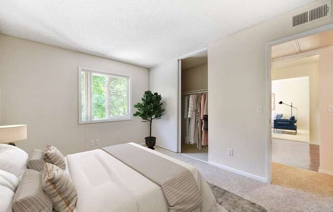 A living room with a white couch and a small tree in a black pot.