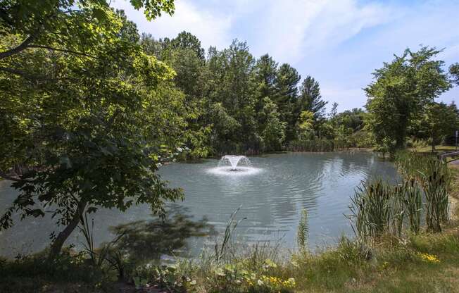 a fountain in the middle of a pond