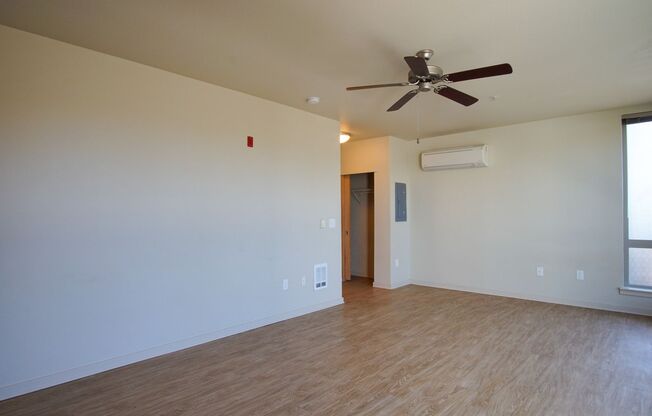 Studio, 1 bath, $1,165, Unit 202