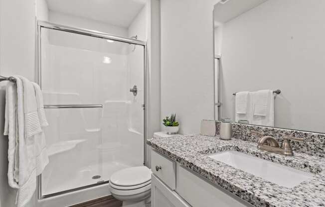 a bathroom with a sink and a shower and a toilet