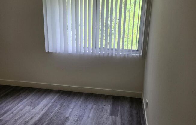 1 bed, 1 bath, 908 sqft, $2,550, Unit 304