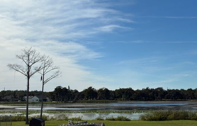 Gated Community Gem: Turnkey 2/2 in Emerald Lake