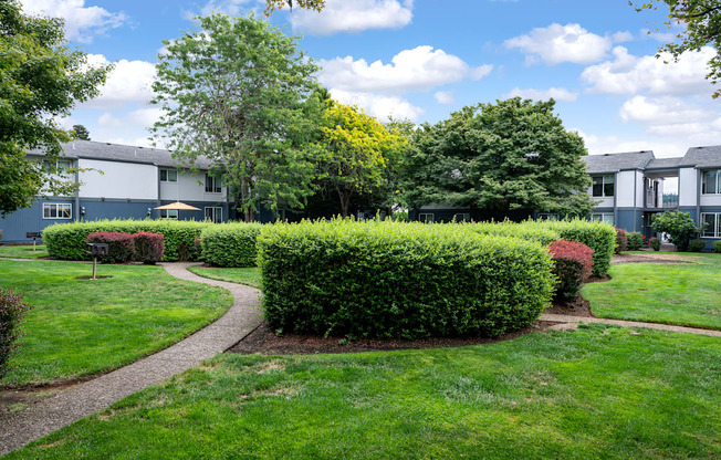 A well-maintained lawn with a curved pathway and a hedge in the foreground.