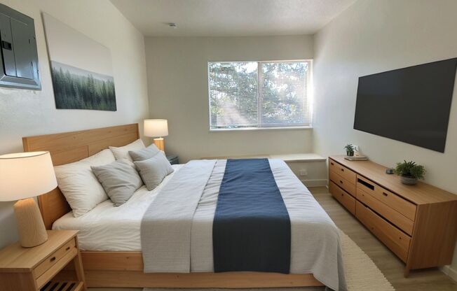 1 bed, 1 bath, 491 sqft, $1,025, Unit Unit 317