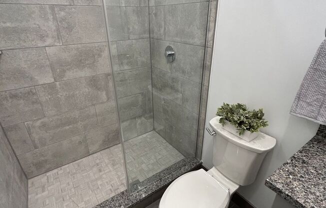 Studio, 1 bath, 400 sqft, $1,795, Unit 52-405