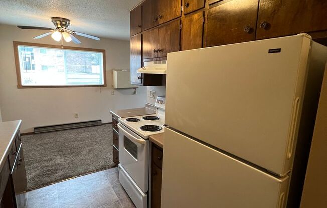 1 bed, 1 bath, 900 sqft, $675, Unit 102