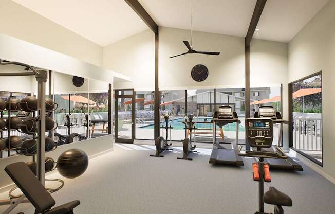 A gym with a variety of equipment including treadmills, weights, and exercise balls.