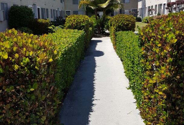 1 Kona Palms Apartments