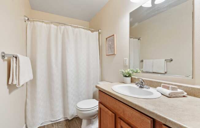 a bathroom with a white shower curtain and a sink and a toilet