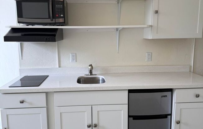 Studio, 1 bath, 250 sqft, $1,195, Unit 200