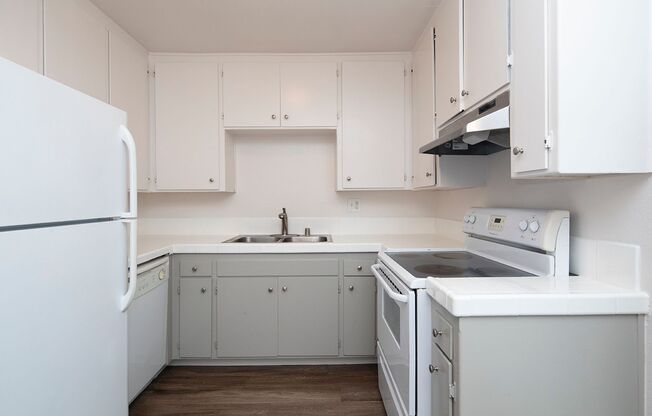 Albatross Apartments