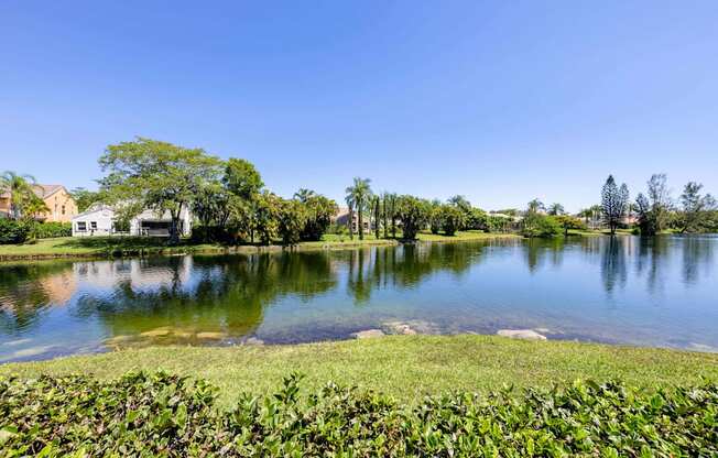 Coconut Creek Apartments – Waterview at Coconut Creek – view of lake with trees and other plants around it
