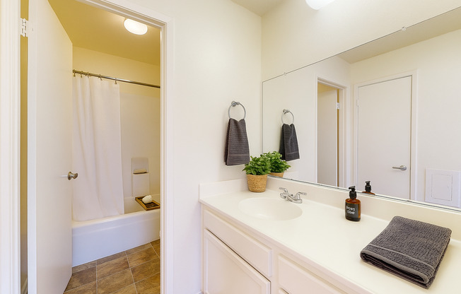 Studio, 1 bath, 410 sqft, $1,595, Unit 233D