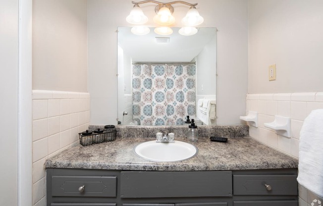 a bathroom with a sink and a mirror and a shower