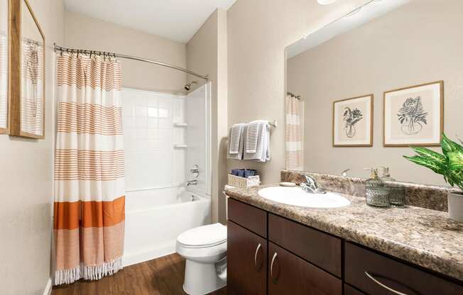 a bathroom with a shower toilet and sink and a mirror