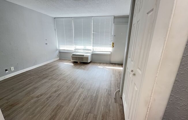 Studio, 1 bath, 500 sqft, $895, Unit 248