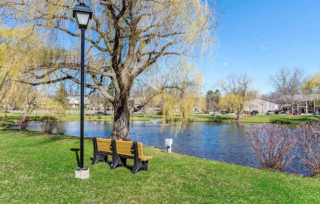 A park bench sits next to a lamp post on a grassy area.