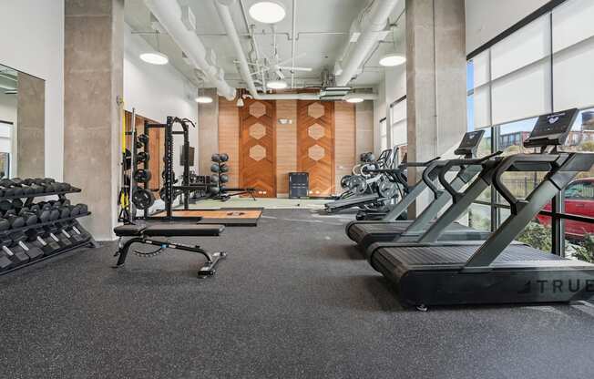 A gym with treadmills, weights, and exercise equipment.