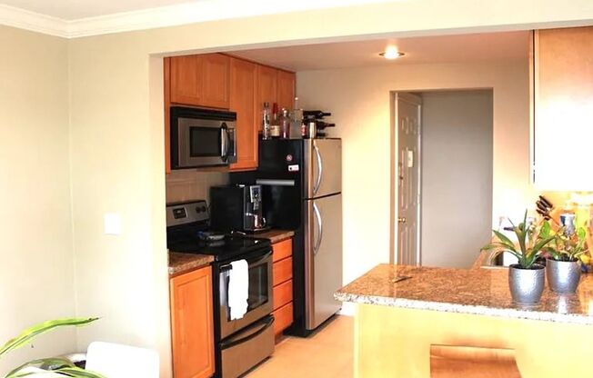 Kirkland Condo